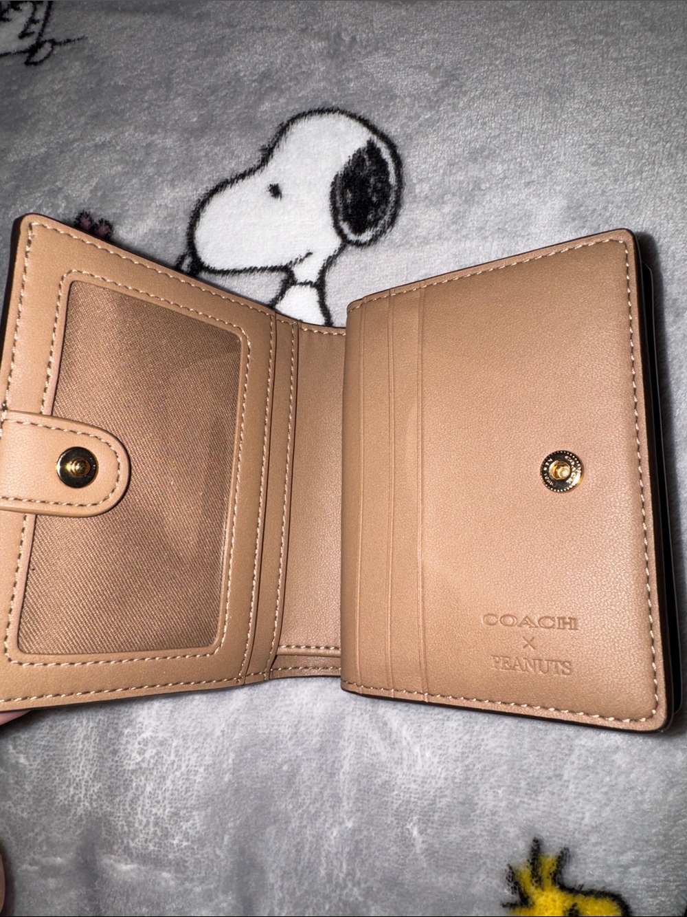 Coach X Peanuts Snap Wallet - Picture 4 of 7